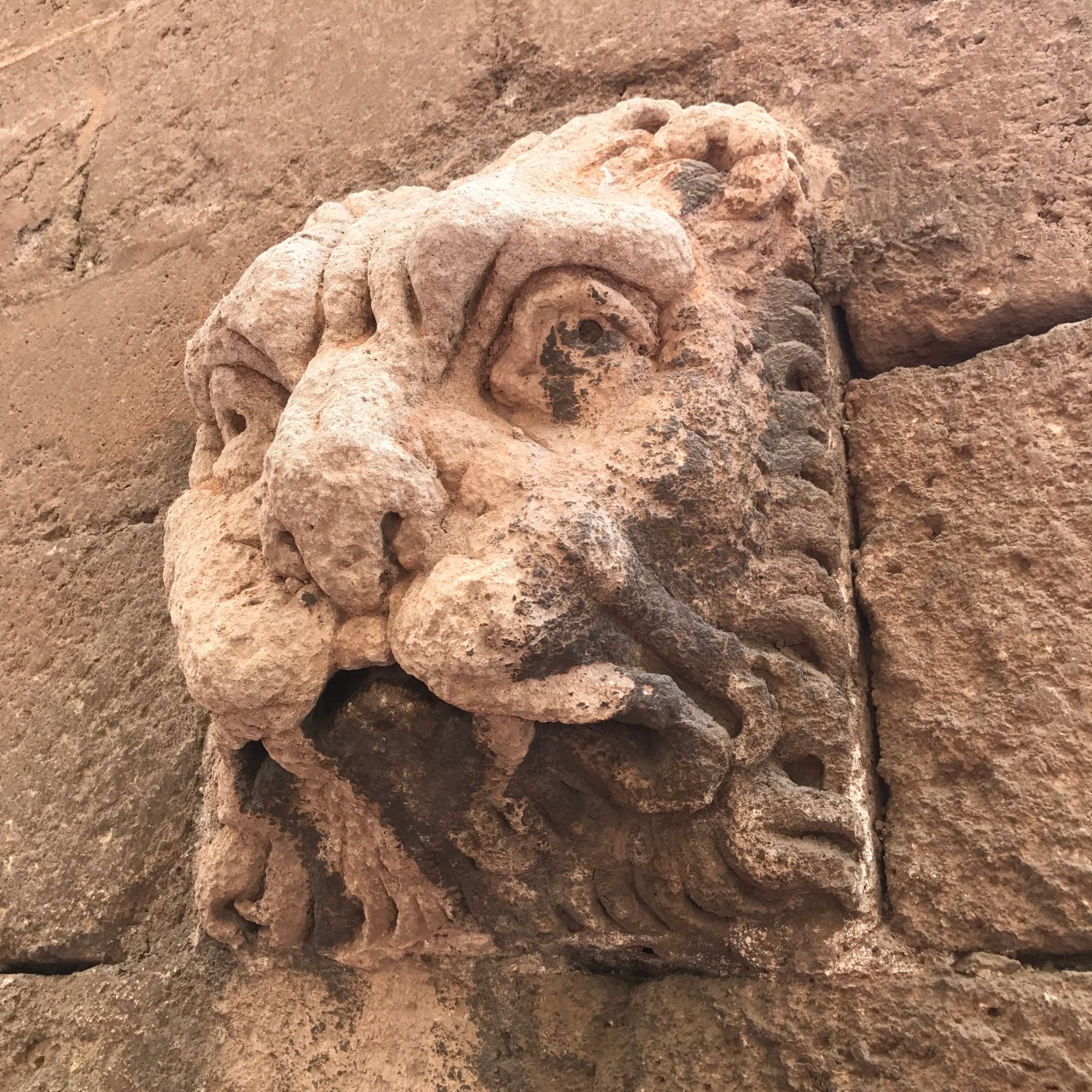 Day 0: Exploring&nbsp;Almeria