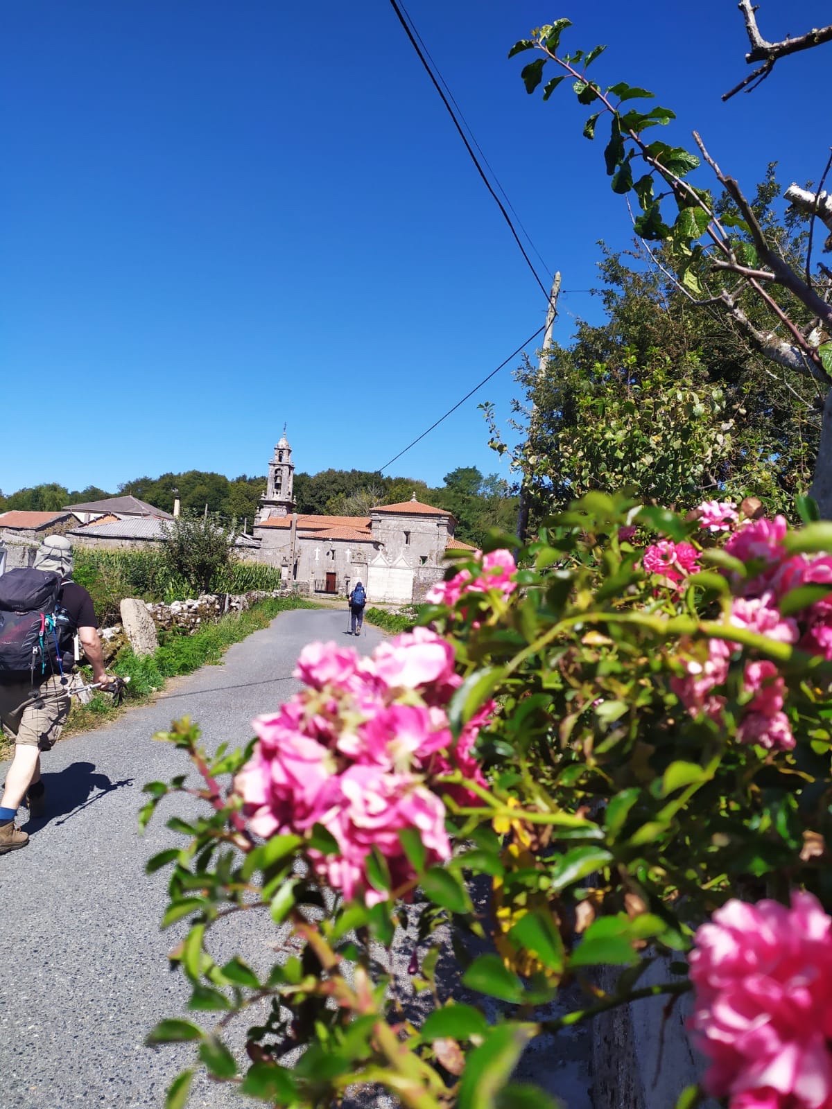 Day 14 (13/Sept/2019): Cea to Estación de&nbsp;Lalin